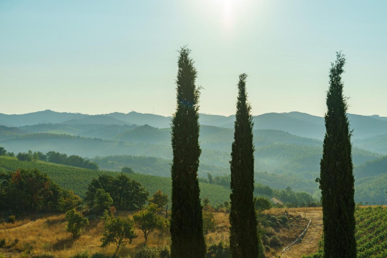 Celle Di Lecchi Nel Chianti Vila San Sano Exterior foto