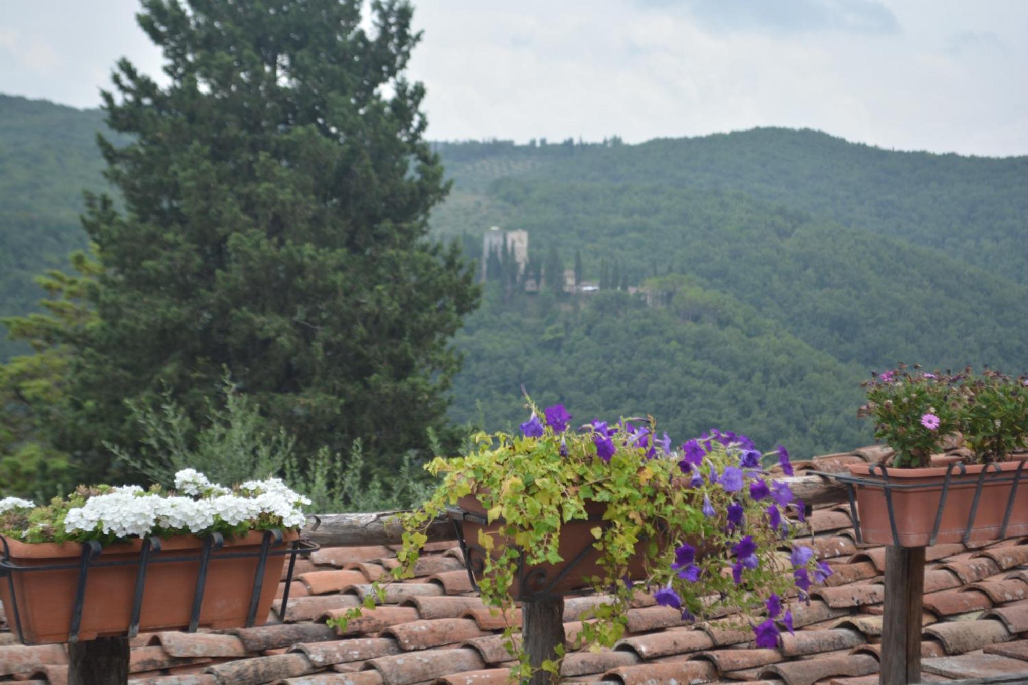 Celle Di Lecchi Nel Chianti Vila San Sano Exterior foto