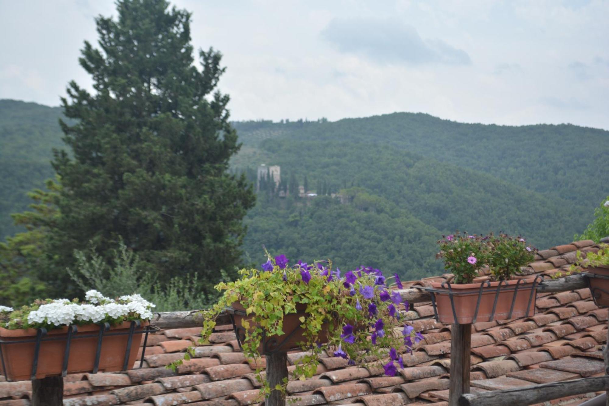 Celle Di Lecchi Nel Chianti Vila San Sano Exterior foto
