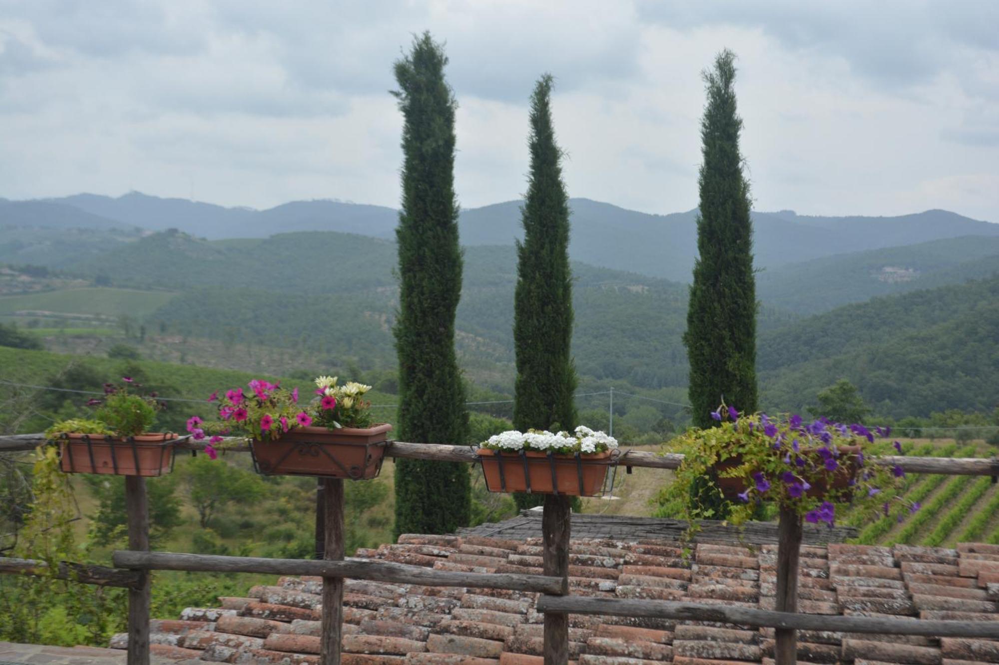 Celle Di Lecchi Nel Chianti Vila San Sano Exterior foto